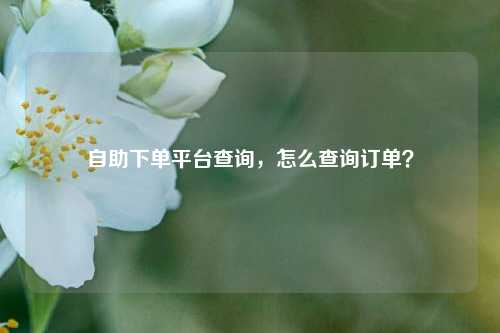 自助下单平台查询，怎么查询订单？