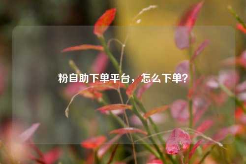粉自助下单平台，怎么下单？
