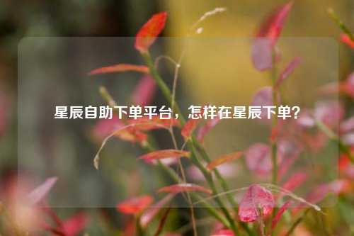 星辰自助下单平台，怎样在星辰下单？