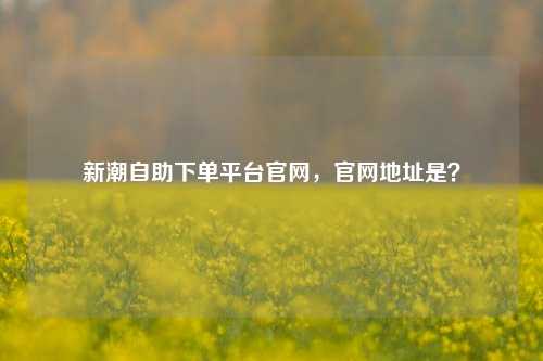 新潮自助下单平台官网，官网地址是？