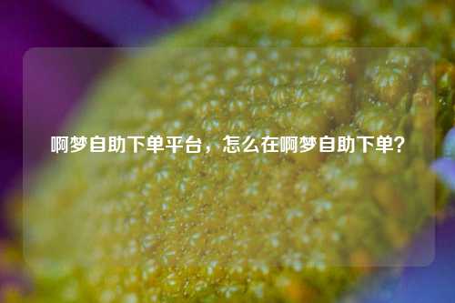 啊梦自助下单平台，怎么在啊梦自助下单？