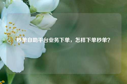 秒单自助平台业务下单，怎样下单秒单？