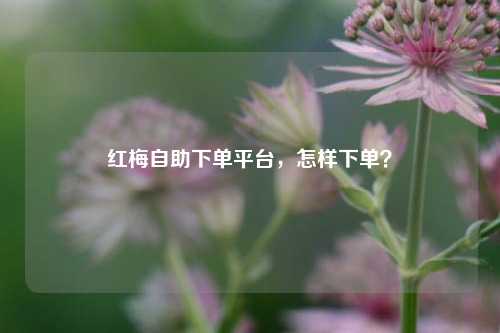 红梅自助下单平台，怎样下单？