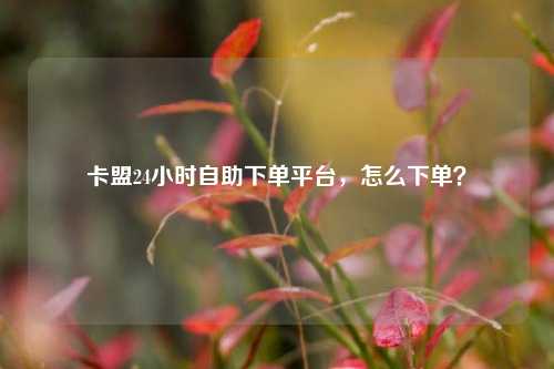 卡盟24小时自助下单平台，怎么下单？