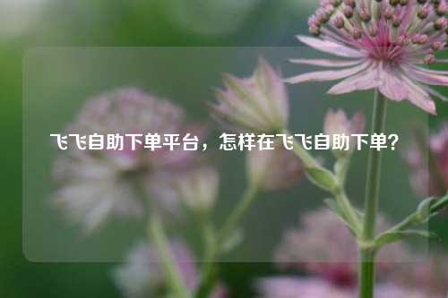 飞飞自助下单平台，怎样在飞飞自助下单？