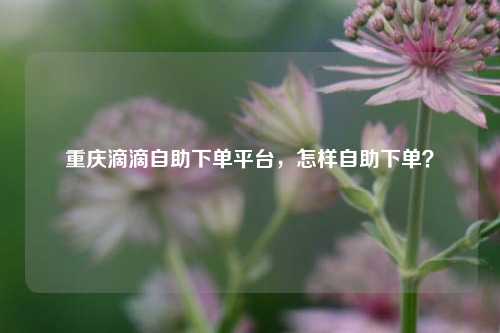 重庆滴滴自助下单平台，怎样自助下单？