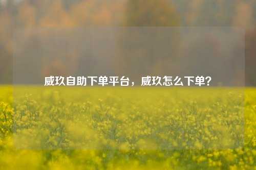 威玖自助下单平台，威玖怎么下单？