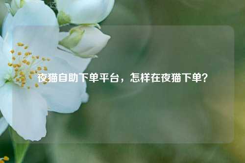 夜猫自助下单平台，怎样在夜猫下单？