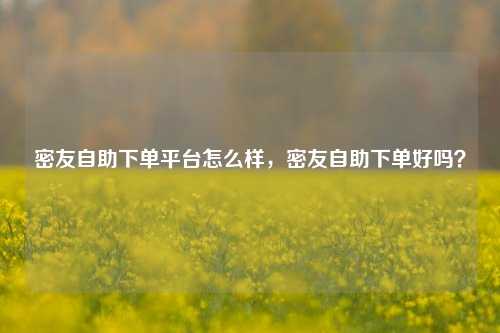 密友自助下单平台怎么样，密友自助下单好吗？