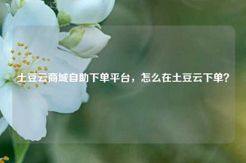 土豆云商城自助下单平台，怎么在土豆云下单？