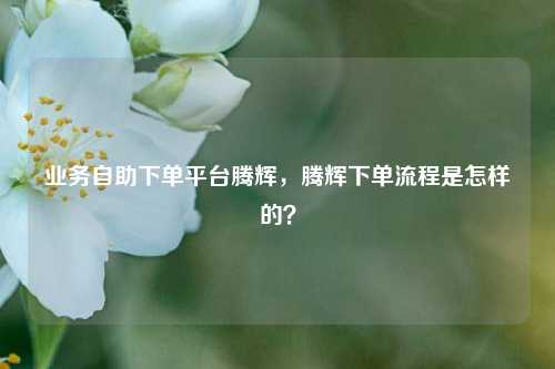业务自助下单平台腾辉，腾辉下单流程是怎样的？