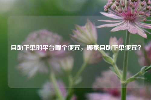 自助下单的平台哪个便宜，哪家自助下单便宜？