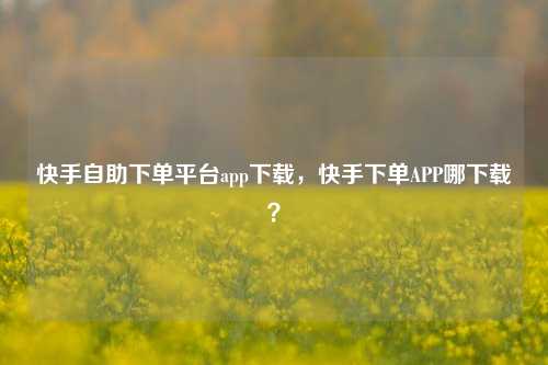 快手自助下单平台app下载，快手下单APP哪下载？